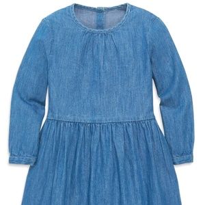 Primary Long Sleeve Chambray Dress